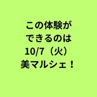 画像296