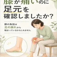 画像419