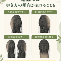 画像438